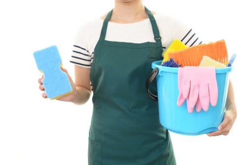 After builders cleaning for post-renovation property care