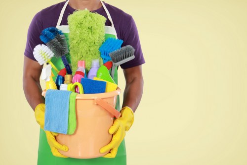 Deep cleaning service illustration for detailed property cleaning