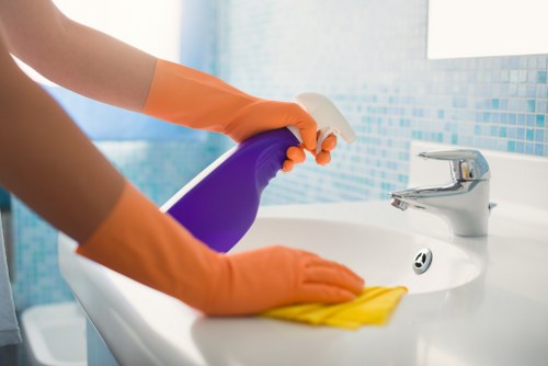 Deep carpet cleaning for stains and odors in Chelsea