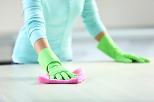 Kitchen appliance cleaning service for Chelsea homes