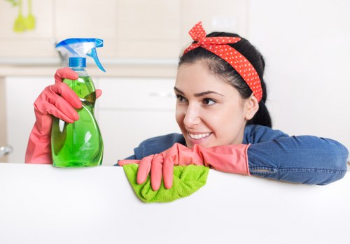 Oven maintenance and grease removal in a modern kitchen