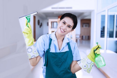 Specialist facade cleaning equipment for brick and stone