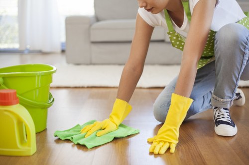 Domestic and office cleaners in Chelsea handling varied tasks